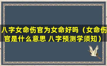八字女命伤官为女命好吗（女命伤官是什么意思 八字预测学须知）